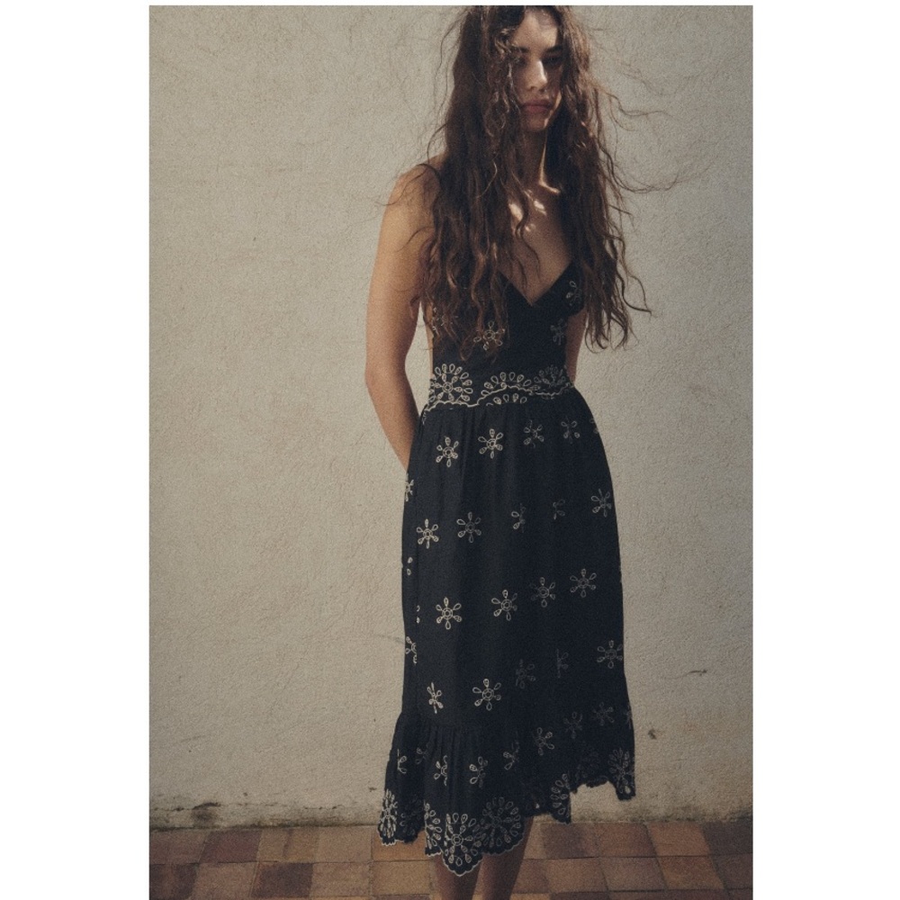 NWT Zara Embroidered Dress